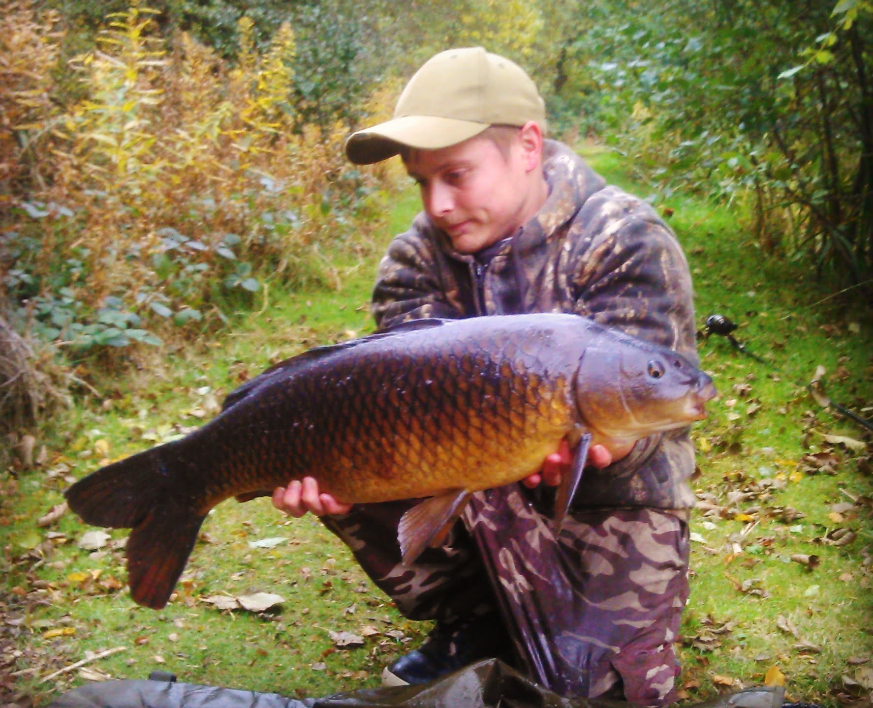 Common Carp – Kinder